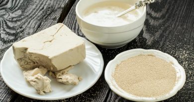 Drojdia ca aliment și medicament